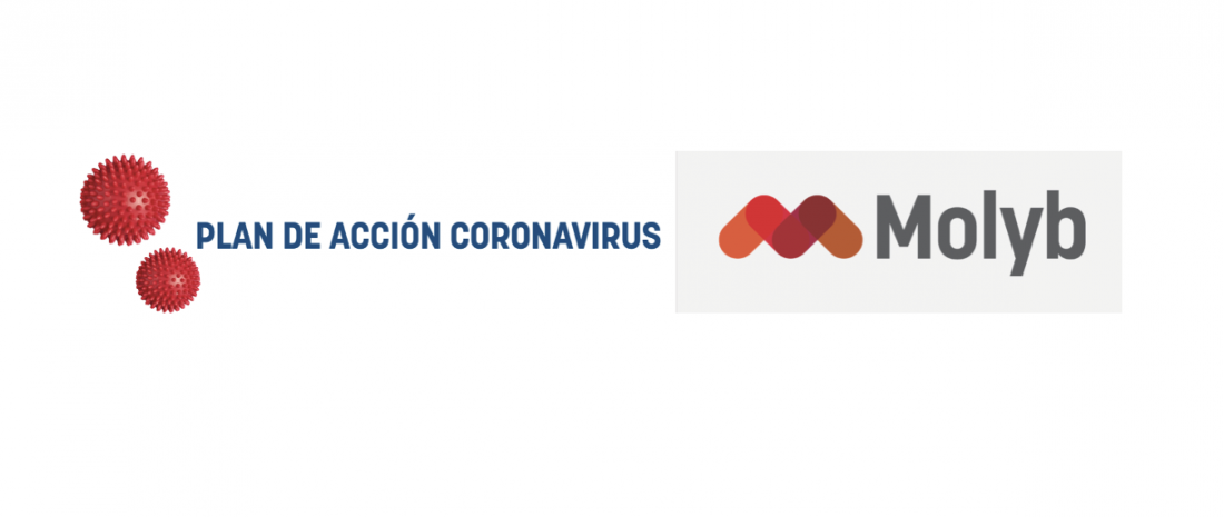 PLAN DE ACCION CORONAVIRUS