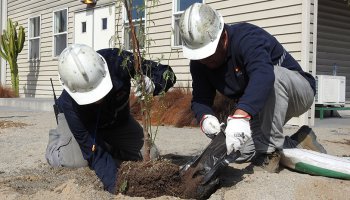 Molyb celebra el Día Mundial del Medio Ambiente