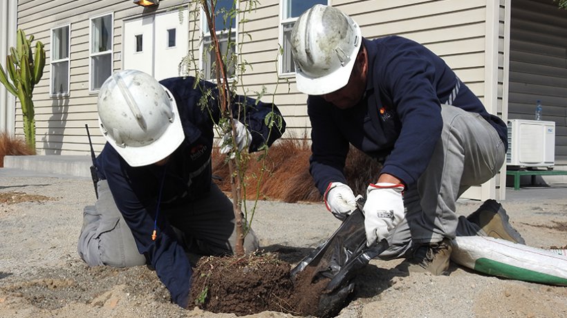 Molyb celebra el Día Mundial del Medio Ambiente