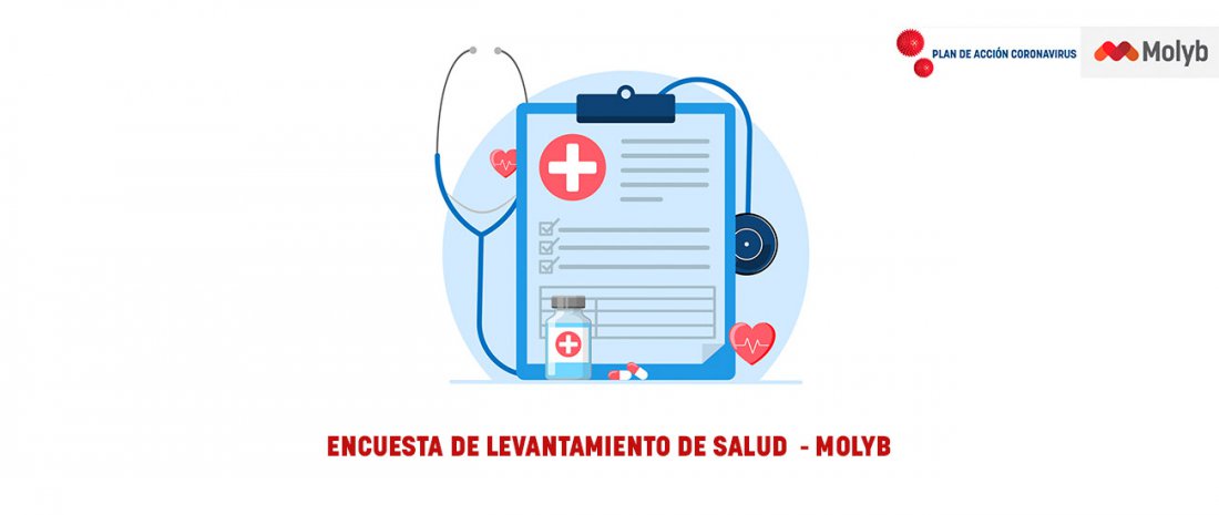 COVID-19 | Encuesta de Levantamiento de Salud - Ley 21.342