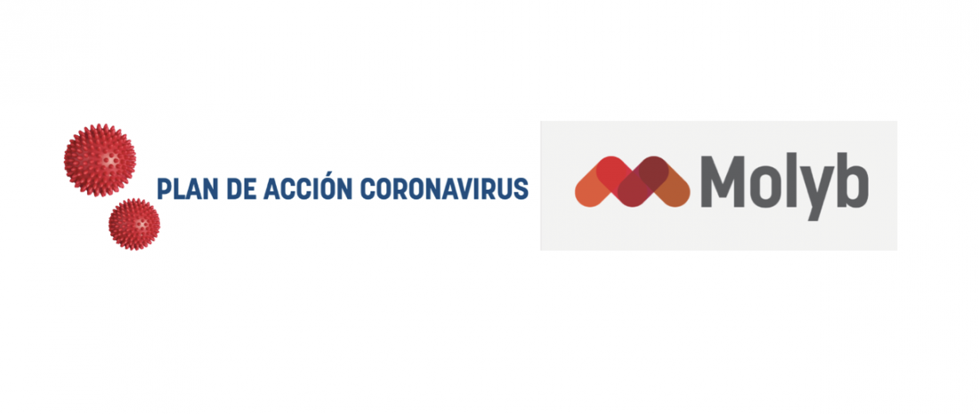 Actualización del Plan de Acción Coronavirus de Molyb