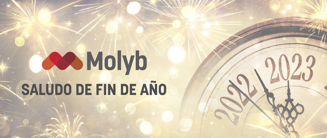 Saludo de Fin de Año - Molyb