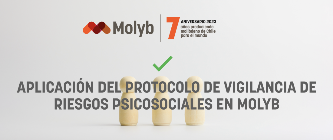 Aplicación de Protocolo de Vigilancia de Riesgos Psicosociales en Molyb