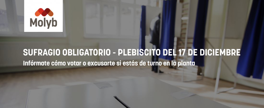 Infórmate cómo votar si estás de turno este 17 de diciembre
